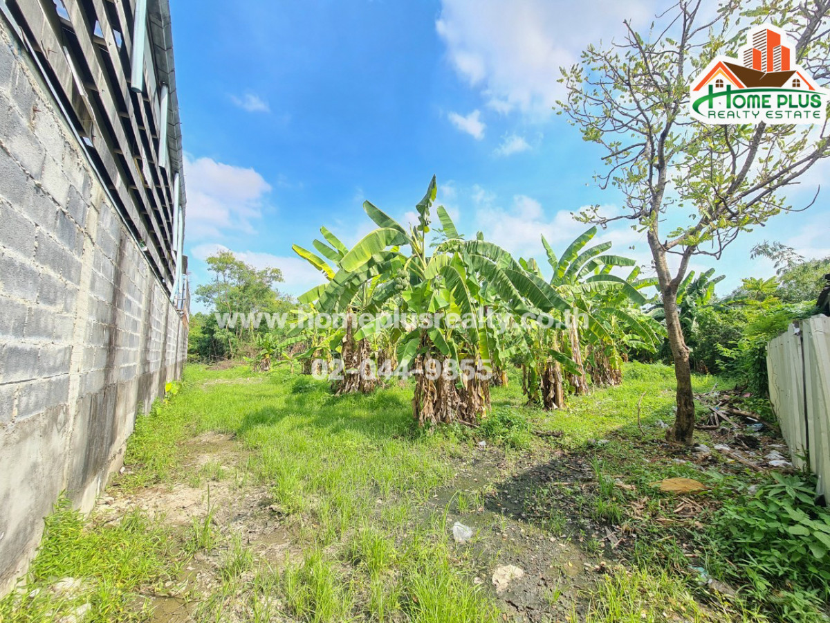 ที่ดิน ถนนพัฒนาการ เขตสวนหลวง (ใกล้มหาวิทยาลัยเกษมบัณฑิต) HomePlus